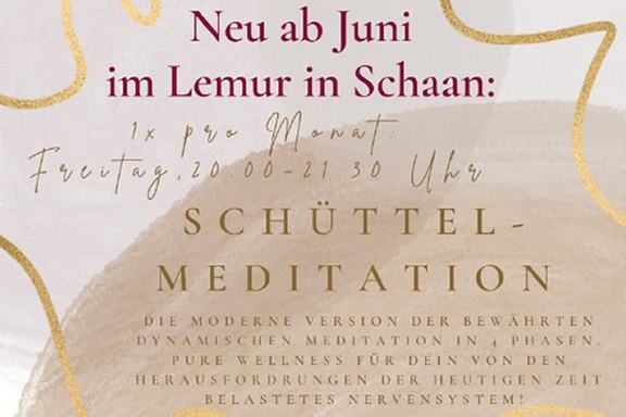 schuettelmeditation-logo.jpg 